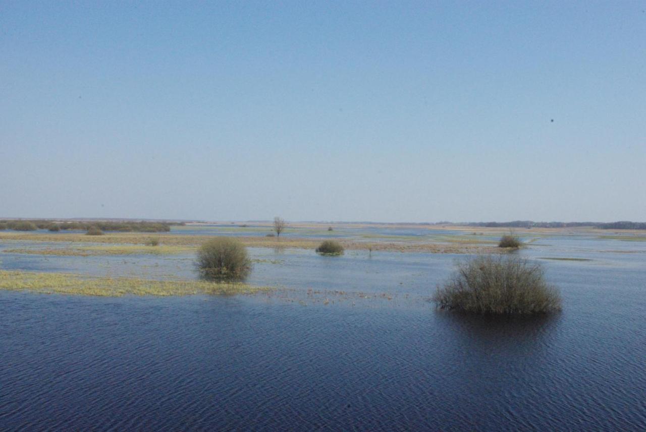 Nad Biebrza Wojciech Bielawski Goniadz Exteriér fotografie